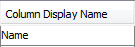 2. Column Display Name